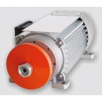 Single and three phase electrical motors